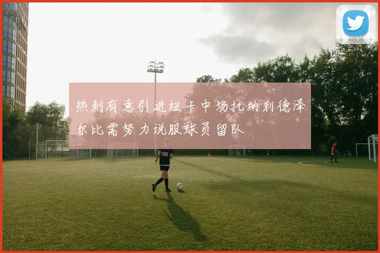 热刺有意引进纽卡中场托纳利德泽尔比需努力说服球员留队